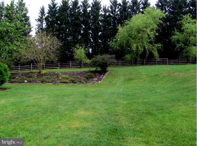 2488 Mullinix Mill Road Mount Airy, MD 21771 - Photo 20 of 21 side yard