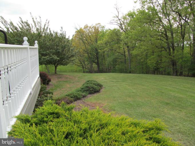 2488 Mullinix Mill Road Mount Airy, MD 21771 - Photo 10 of 21 Backyard