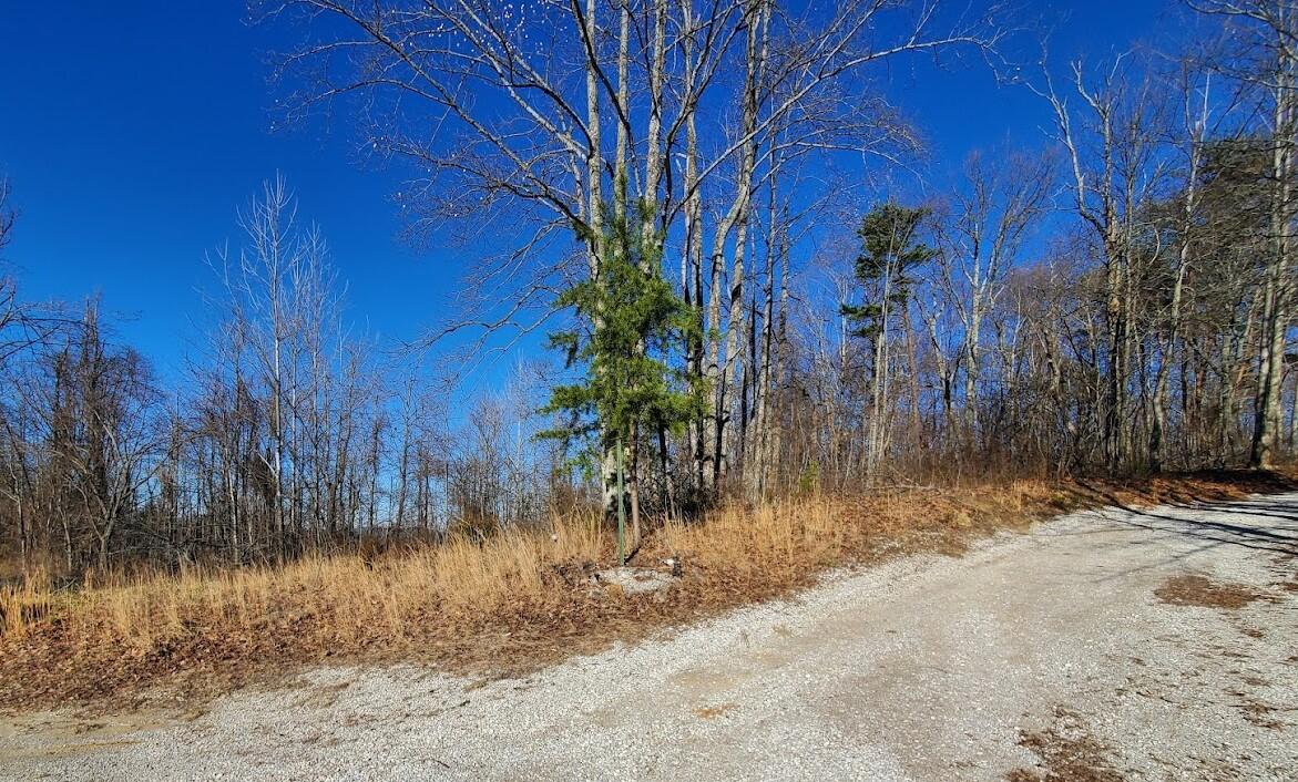 900 Duke Powell Road McKee, KY 40447 - Photo 1 of 13 20220111_145321