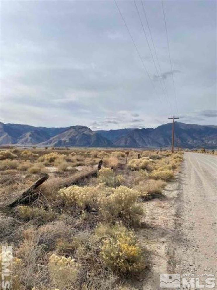 175 Jessen Road Wellington, NV 89444 - Photo 2 of 7 a view of a field