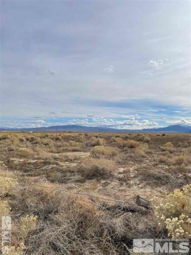 175 Jessen Road Wellington, NV 89444 - Photo 3 of 7 a view of an ocean