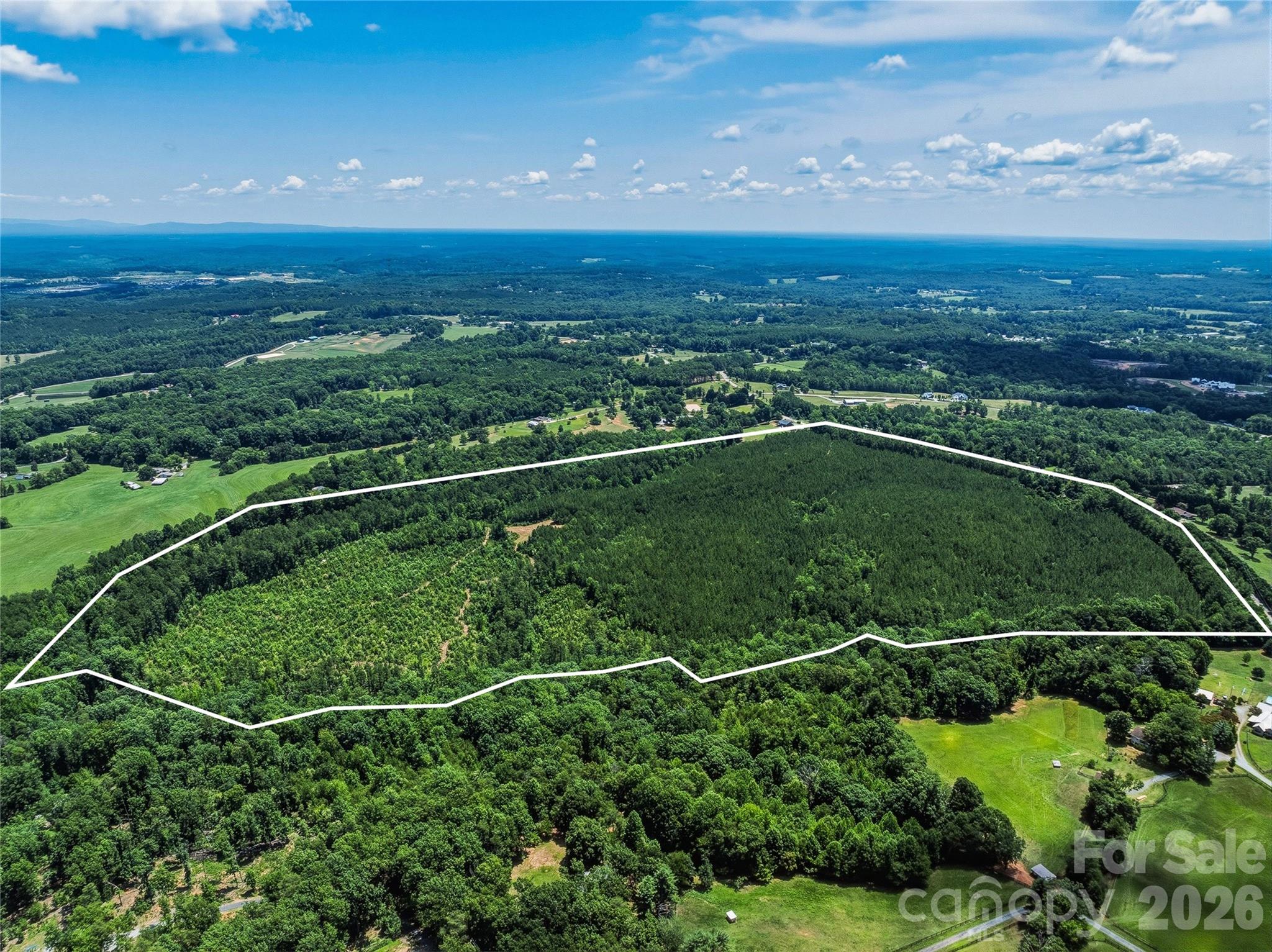 6783 Peniel Road Tryon, NC 28782 - Photo 9 of 36