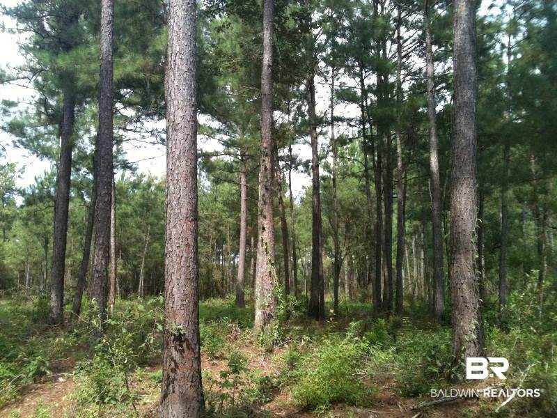 0 Lott Road Citronelle, AL 36522 - Photo 6 of 10