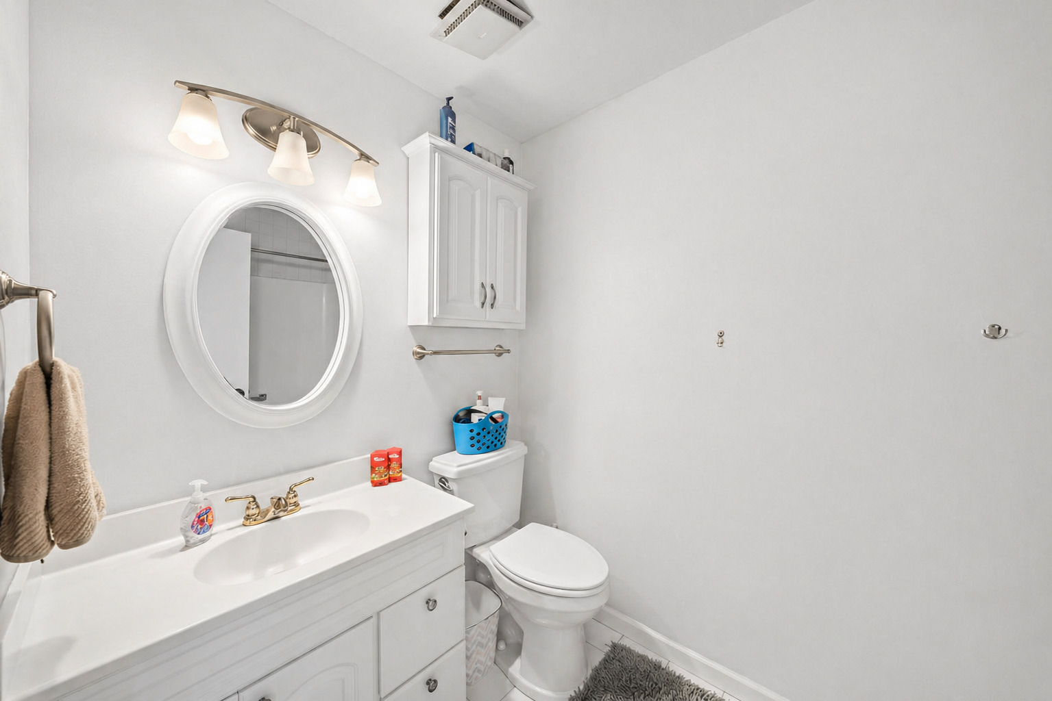 1160 Bramble Avenue Bolingbrook, IL 60490 - Photo 12 of 22