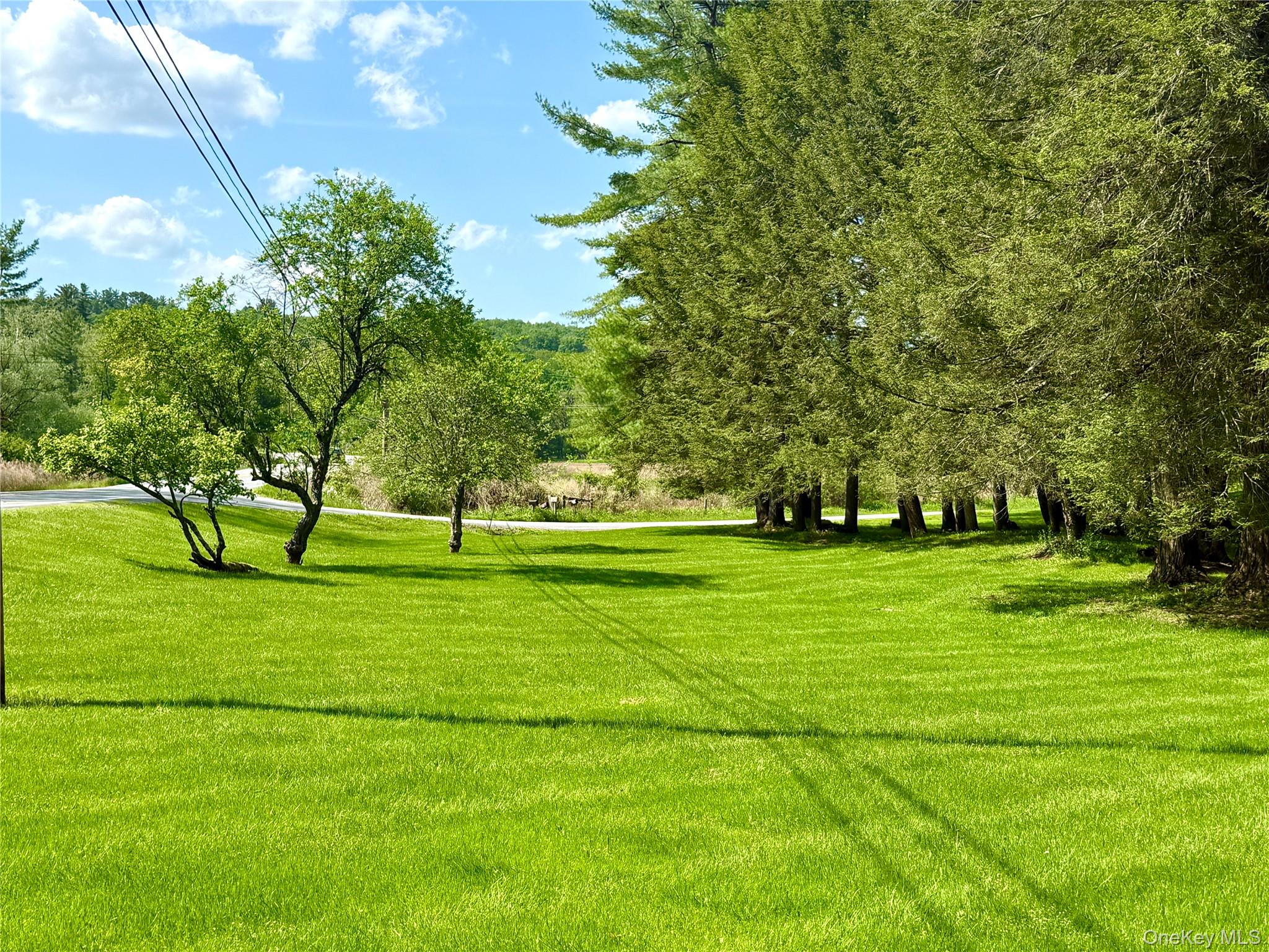 12 Mesmer Hill Road Callicoon, NY 12723 - Photo 5 of 18 a park with lots of trees