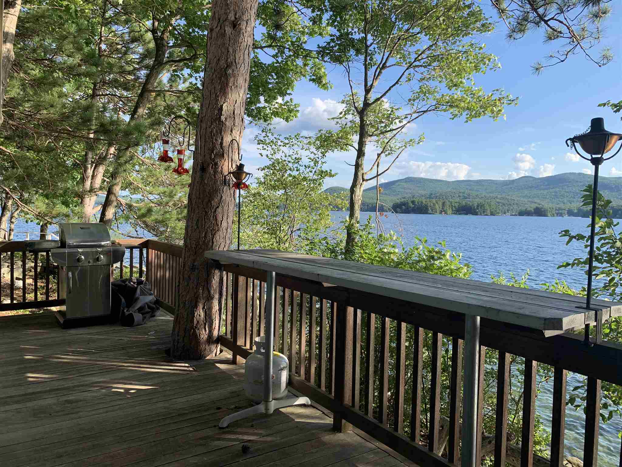490 Rattlesnake Island Alton, NH 03810 - Photo 7 of 24 Gallery Image 7