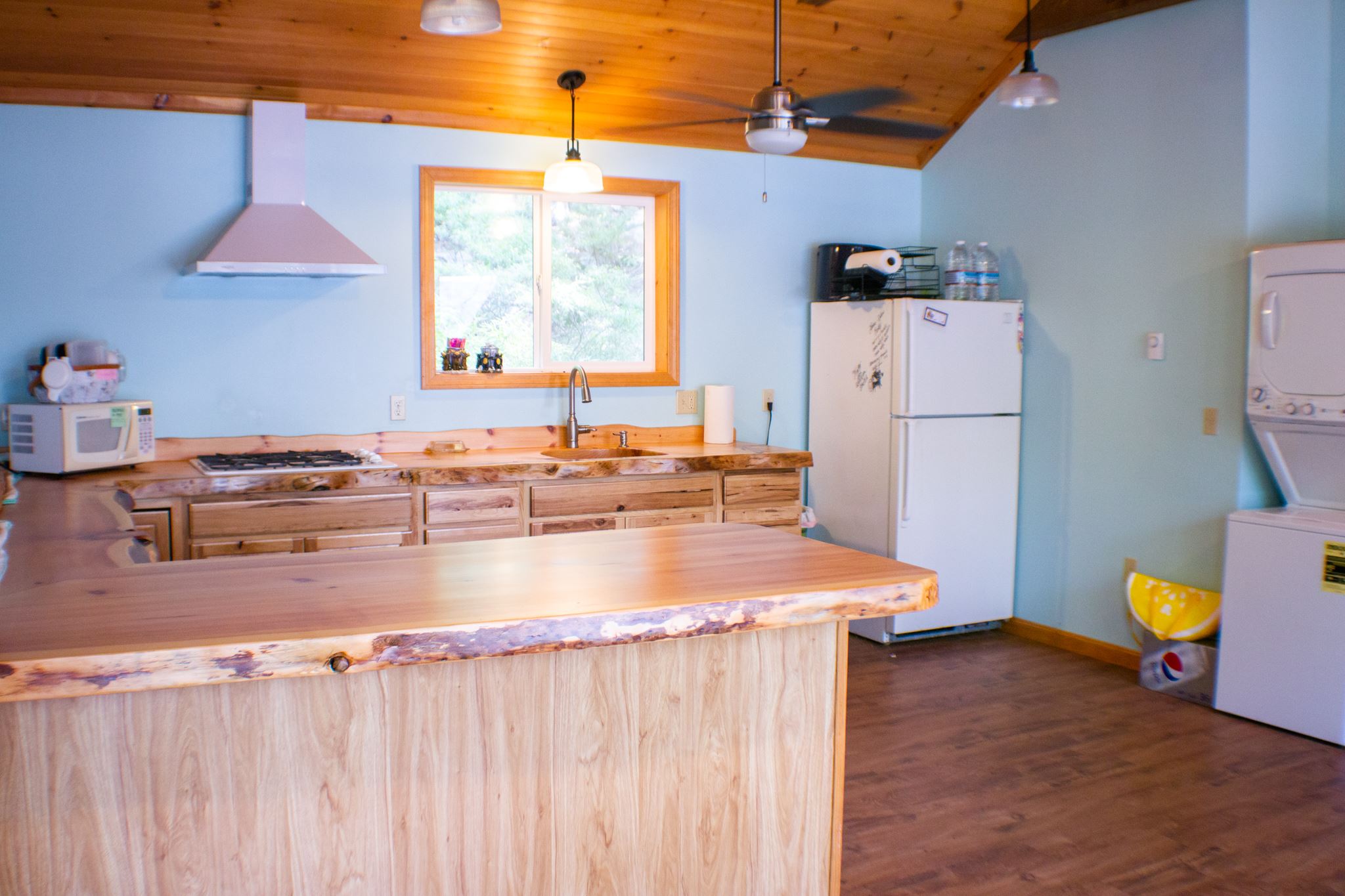 490 Rattlesnake Island Alton, NH 03810 - Photo 8 of 24 Gallery Image 8