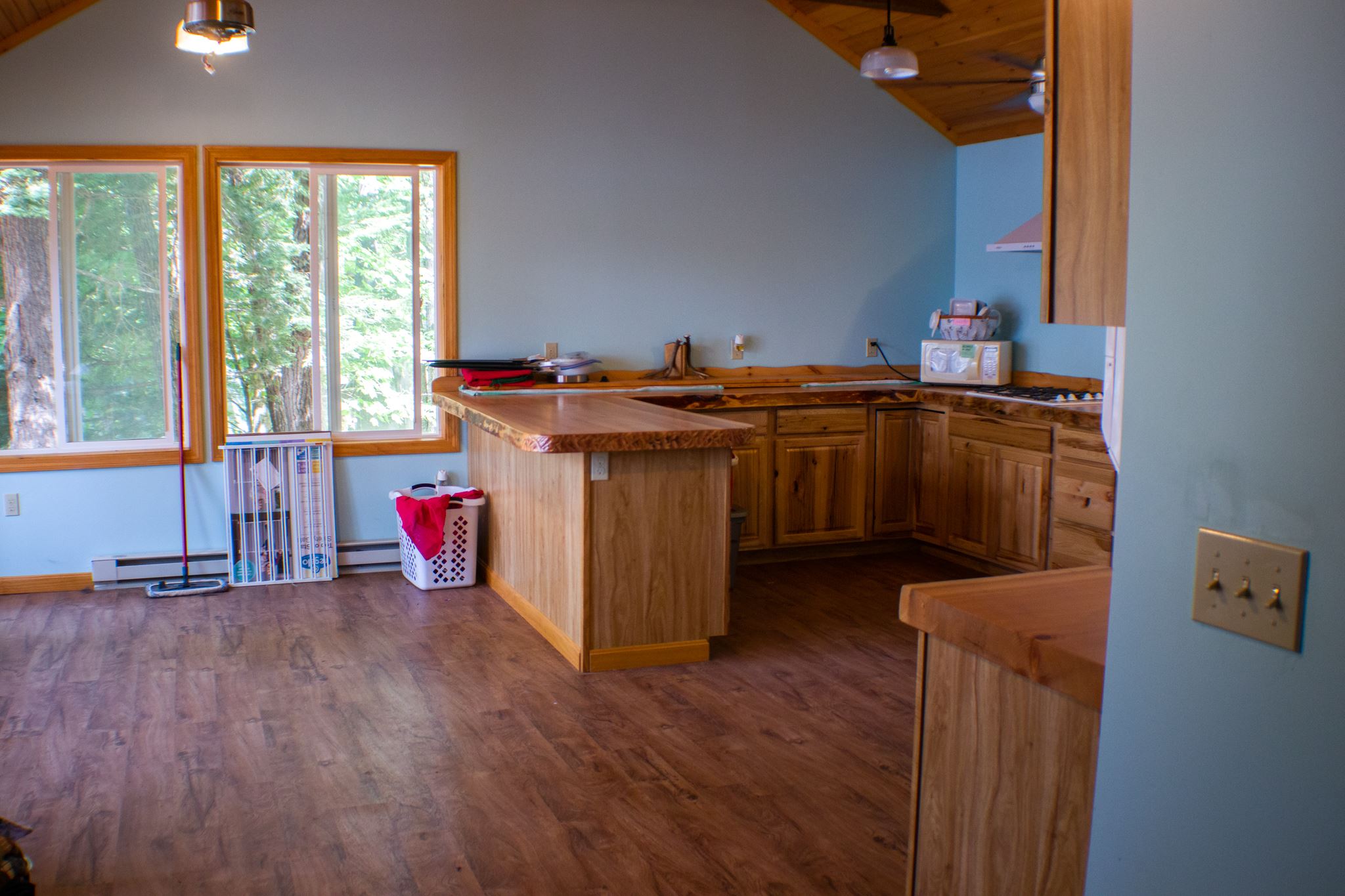 490 Rattlesnake Island Alton, NH 03810 - Photo 10 of 24 Gallery Image 10