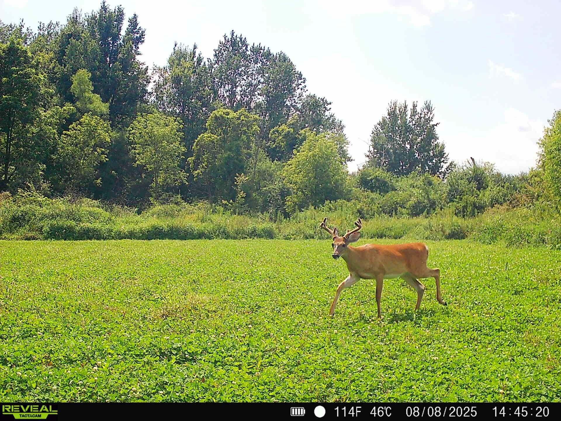 5121 Skuse Road Osseo, MI 49266 - Photo 21 of 32 sk21
