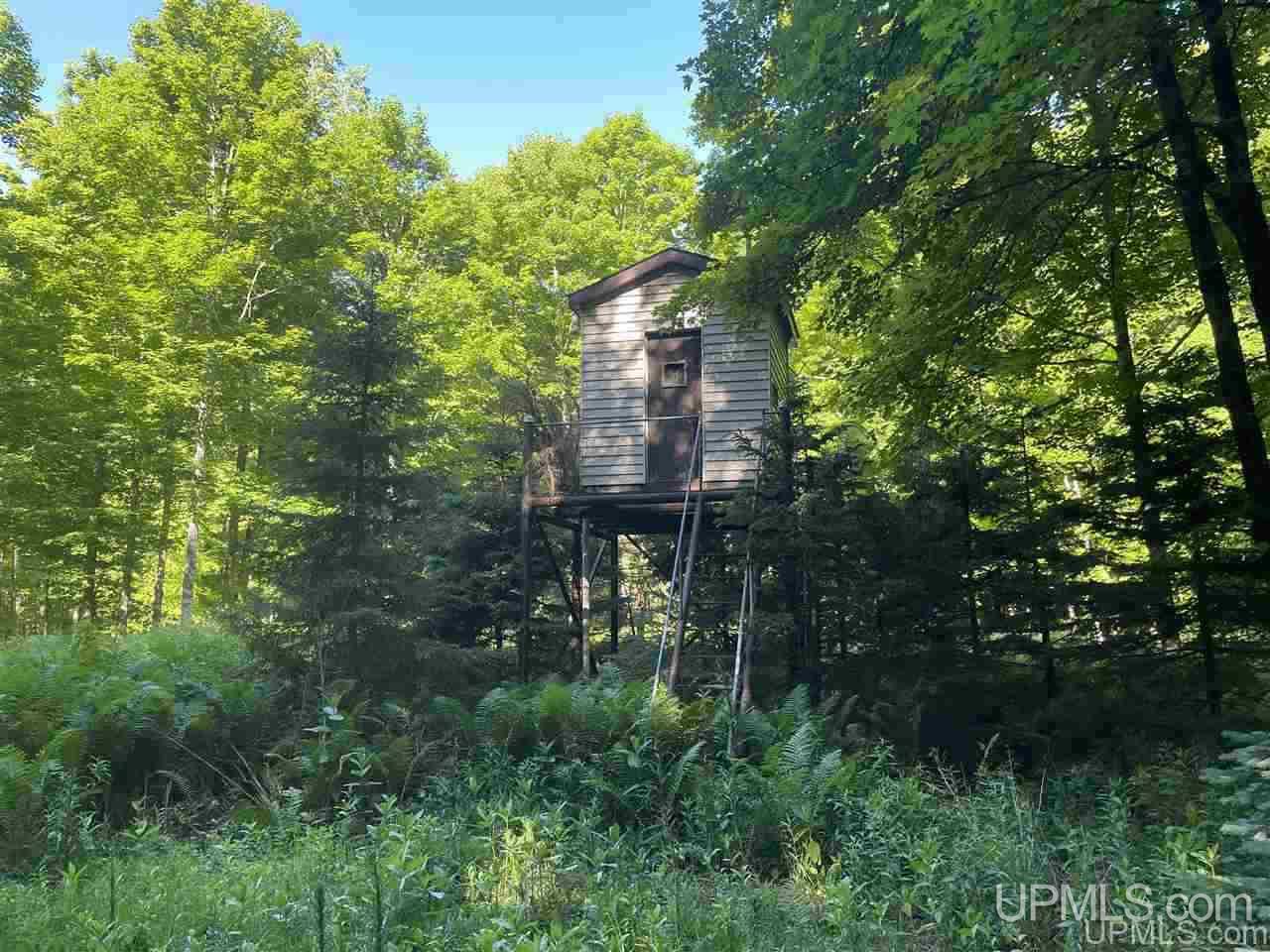 4036 26th Road Cornell, MI 49818 - Photo 34 of 49