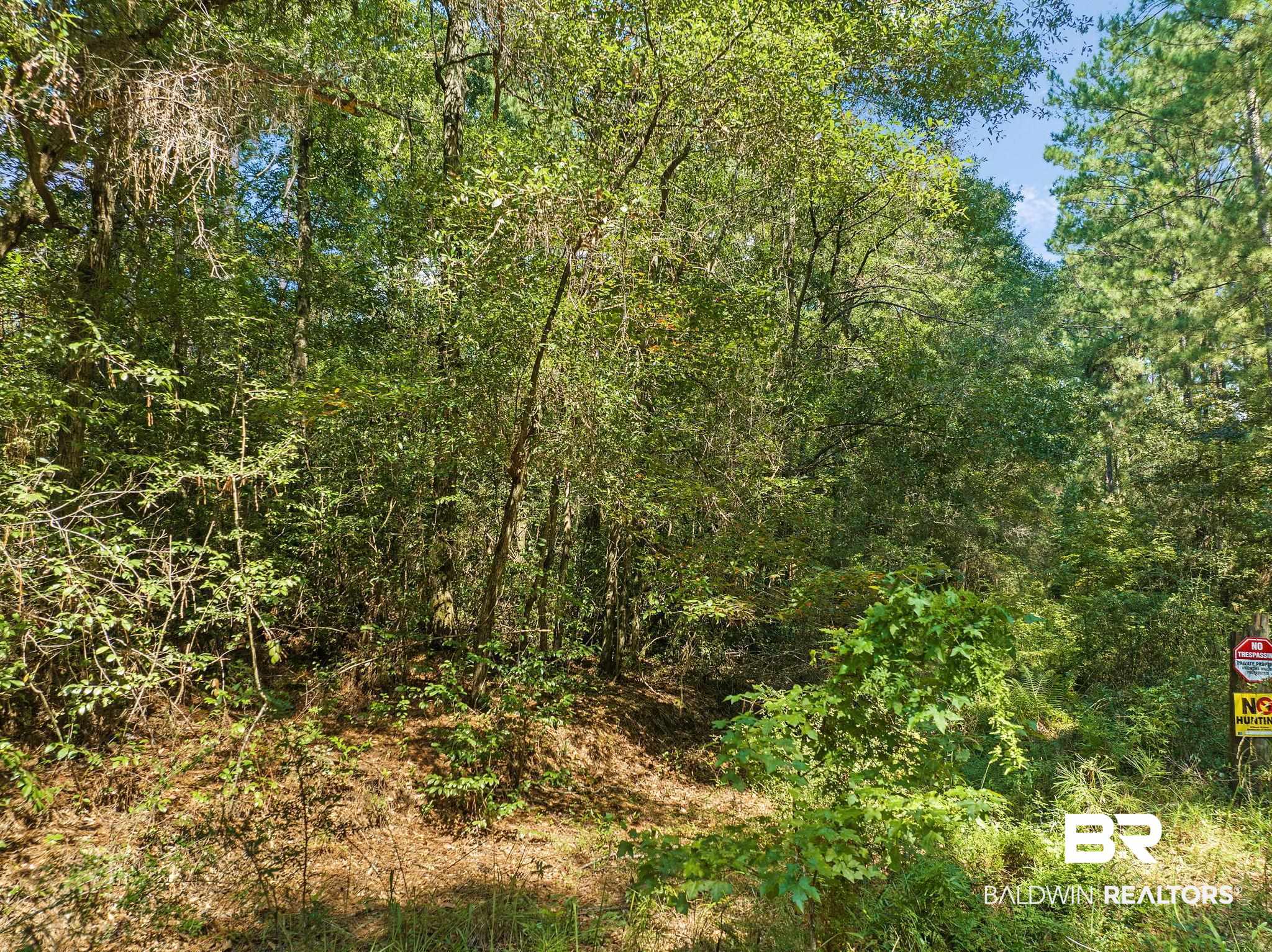 6917 Old Citronelle Road Eight Mile, AL 36613 - Photo 6 of 8