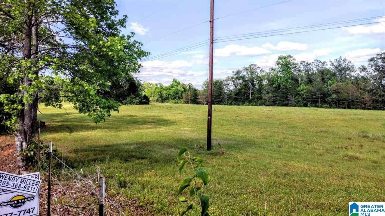 Old Jackson Road, Unit LEGAL Centreville, AL 35042 - Photo 3 of 11