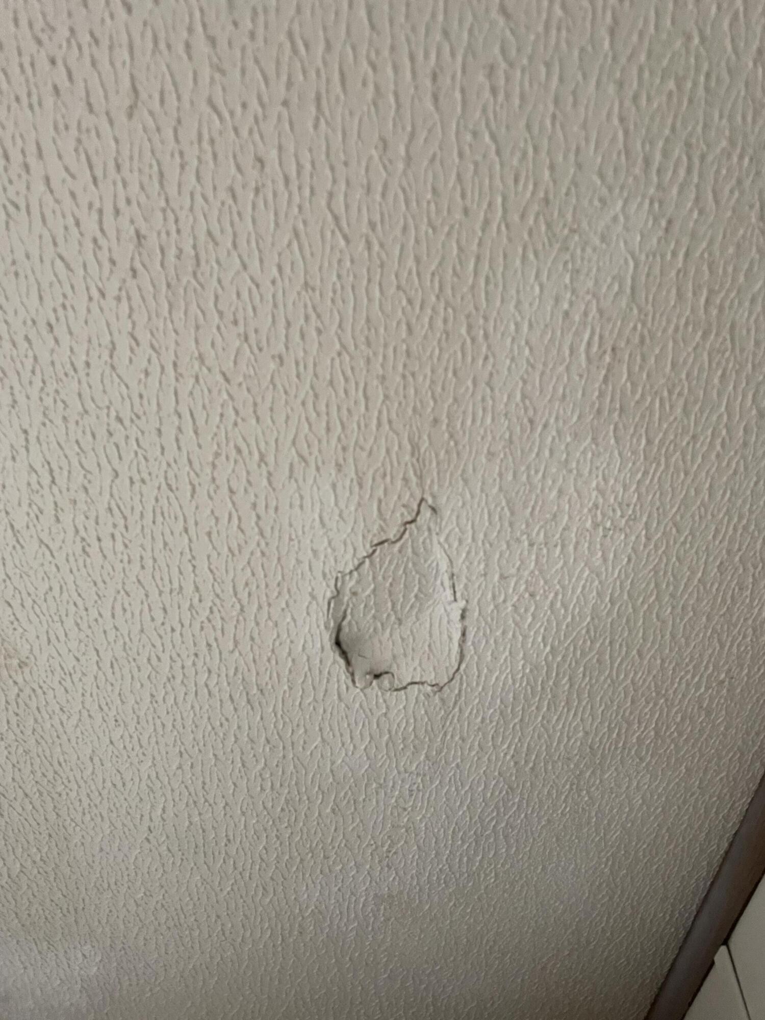 122 Haddock Lane Benton, TN 37307 - Photo 12 of 23 a bathroom with a shower curtain