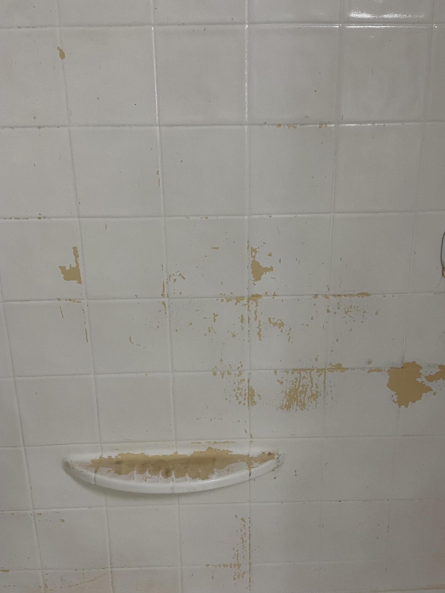 122 Haddock Lane Benton, TN 37307 - Photo 13 of 23 a bathroom with a white shower