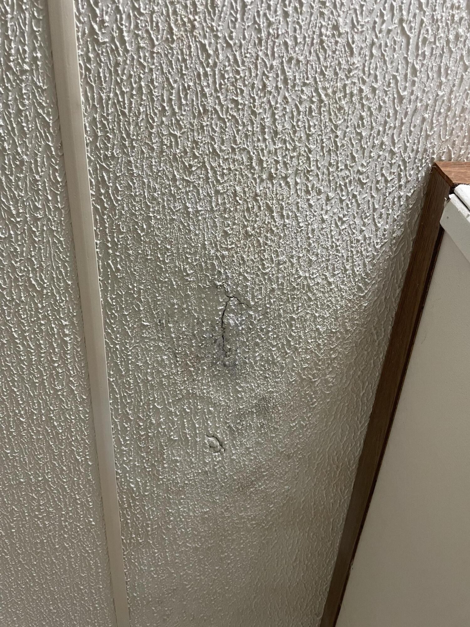 122 Haddock Lane Benton, TN 37307 - Photo 14 of 23 a bathroom with a shower curtain