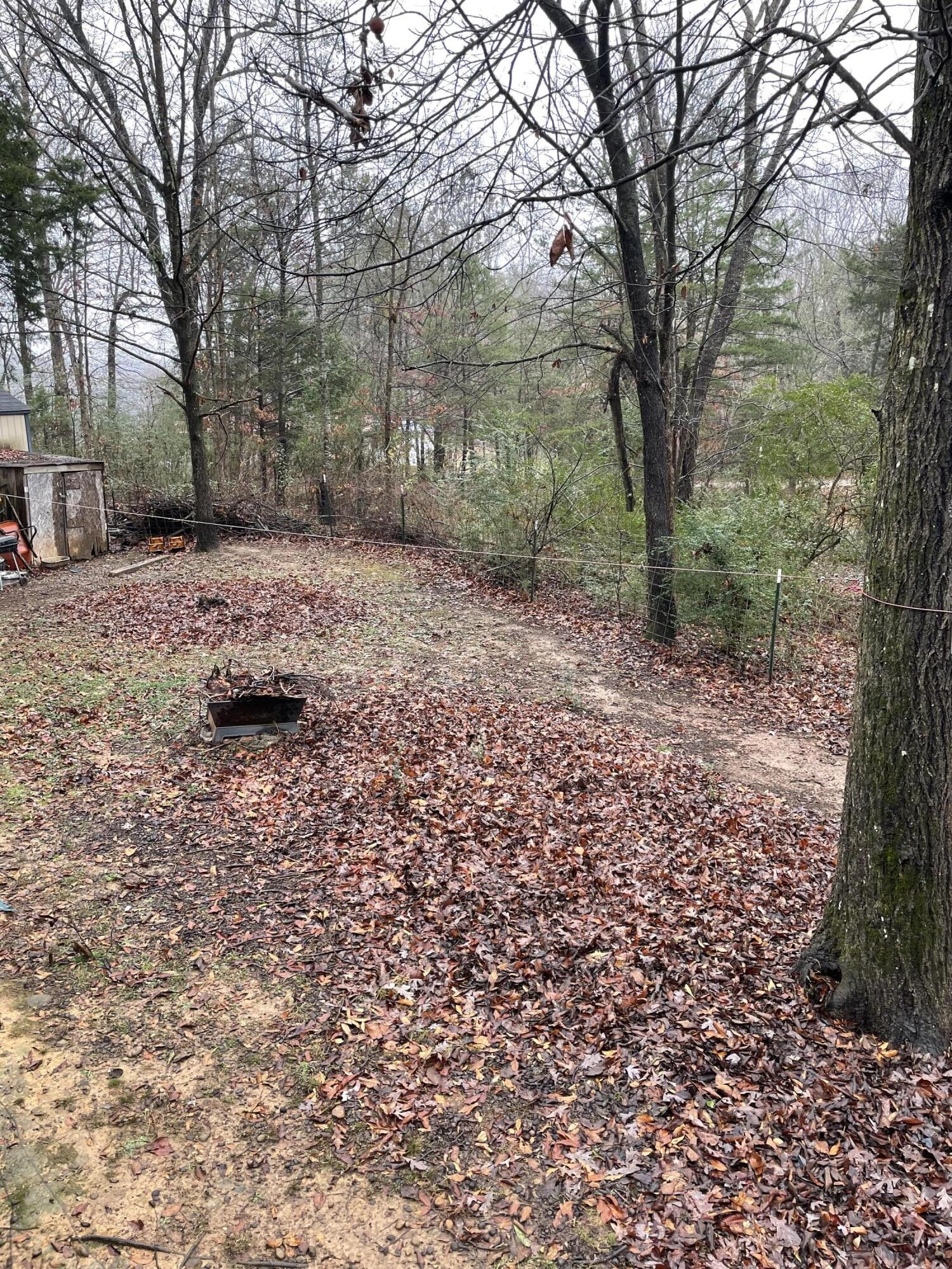 122 Haddock Lane Benton, TN 37307 - Photo 9 of 23 a backyard of a house with lots of green space