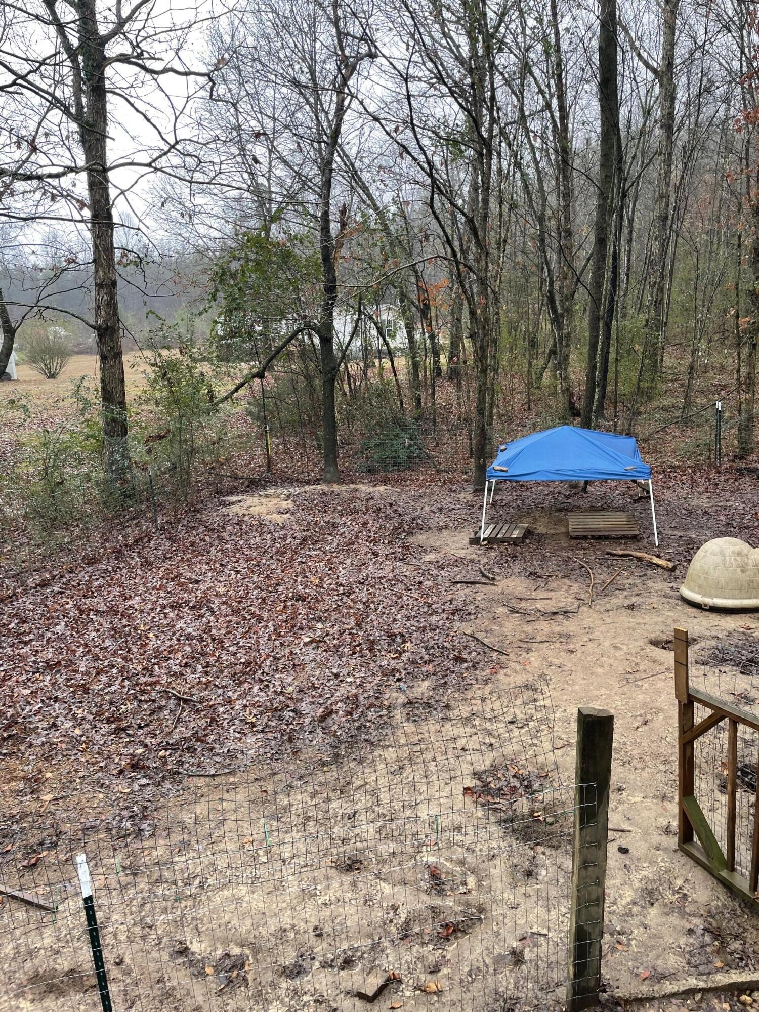 122 Haddock Lane Benton, TN 37307 - Photo 10 of 23 a view of a backyard