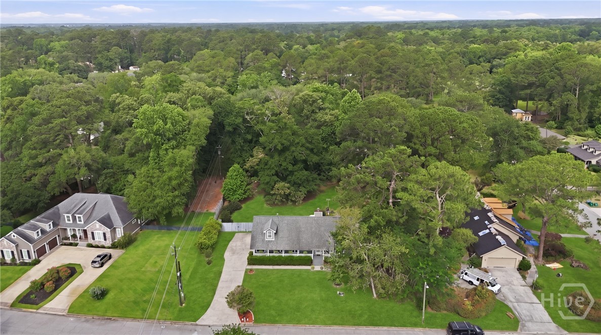 3 Rice Mill Drive Savannah, GA 31419 - Photo 33 of 37 Gorgeous, half-acre plus lot in 3 Rice Mill Drive.