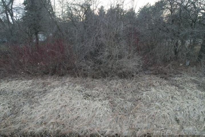 North Lakeshore Road Port Sanilac, MI 48469 - Photo 11 of 11