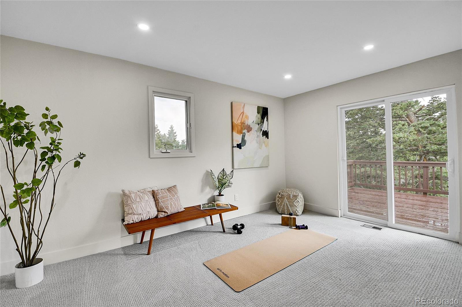 8919 South Hillview Road Morrison, CO 80465 - Photo 23 of 50 a living room with furniture and a potted plant