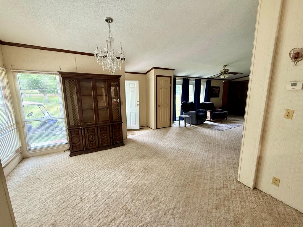 3231 County Road 46 Abbeville, AL 36310 - Photo 9 of 25