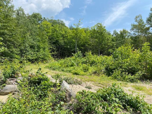 11 Eagle Ridge Road Kingfield, ME 04947 - Photo 3 of 7 20210807181537513732000000-o