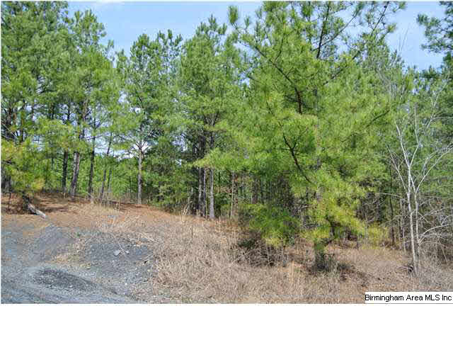 3522 County Road 22 Montevallo, AL 35115 - Photo 4 of 4