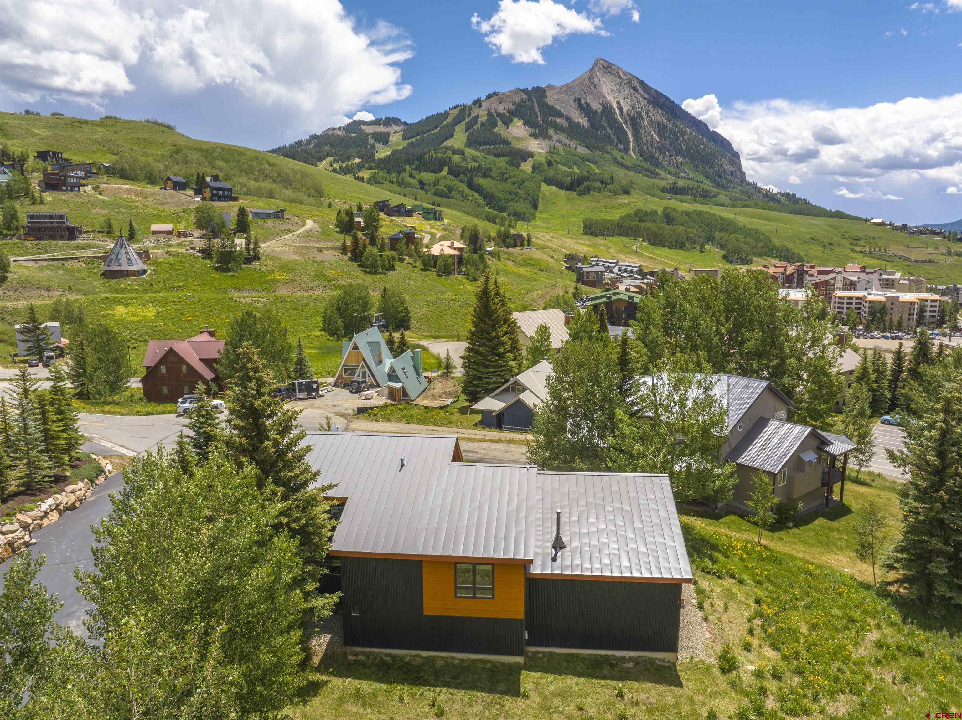 29 Treasury Road Crested Butte, CO 81225 - Photo 4 of 45