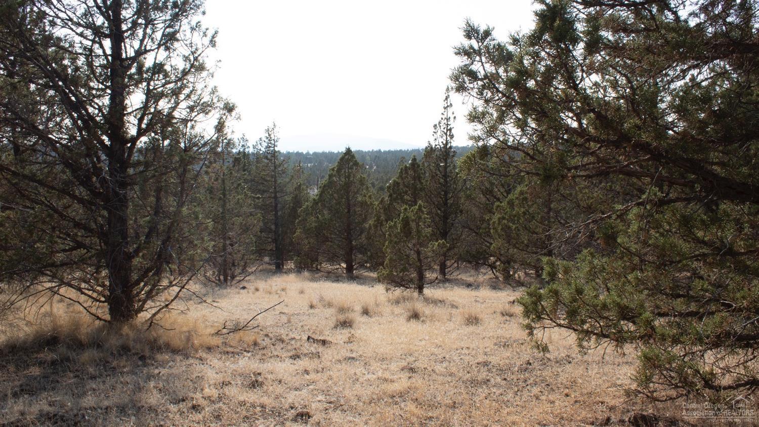 0 Southeast Grant Road Prineville, OR 97754 - Photo 2 of 9 Additional Photo