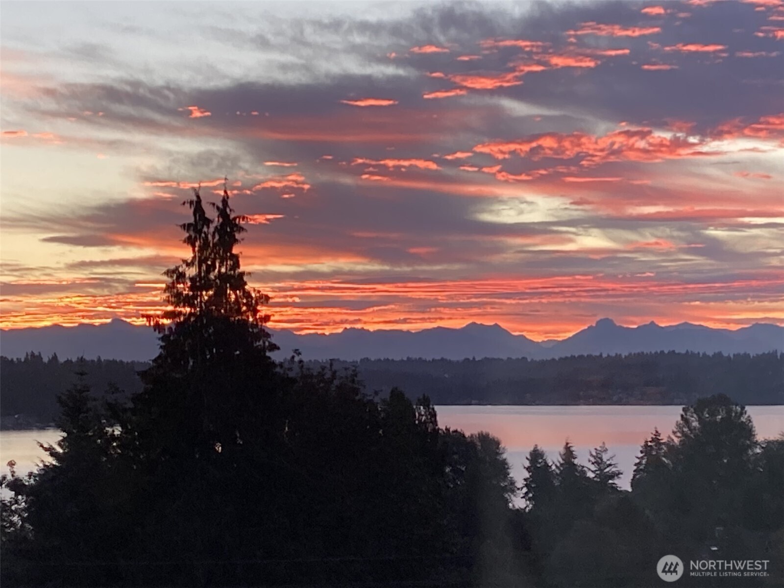 4411 Northeast 90th Street Seattle, WA 98115 - Photo 29 of 30