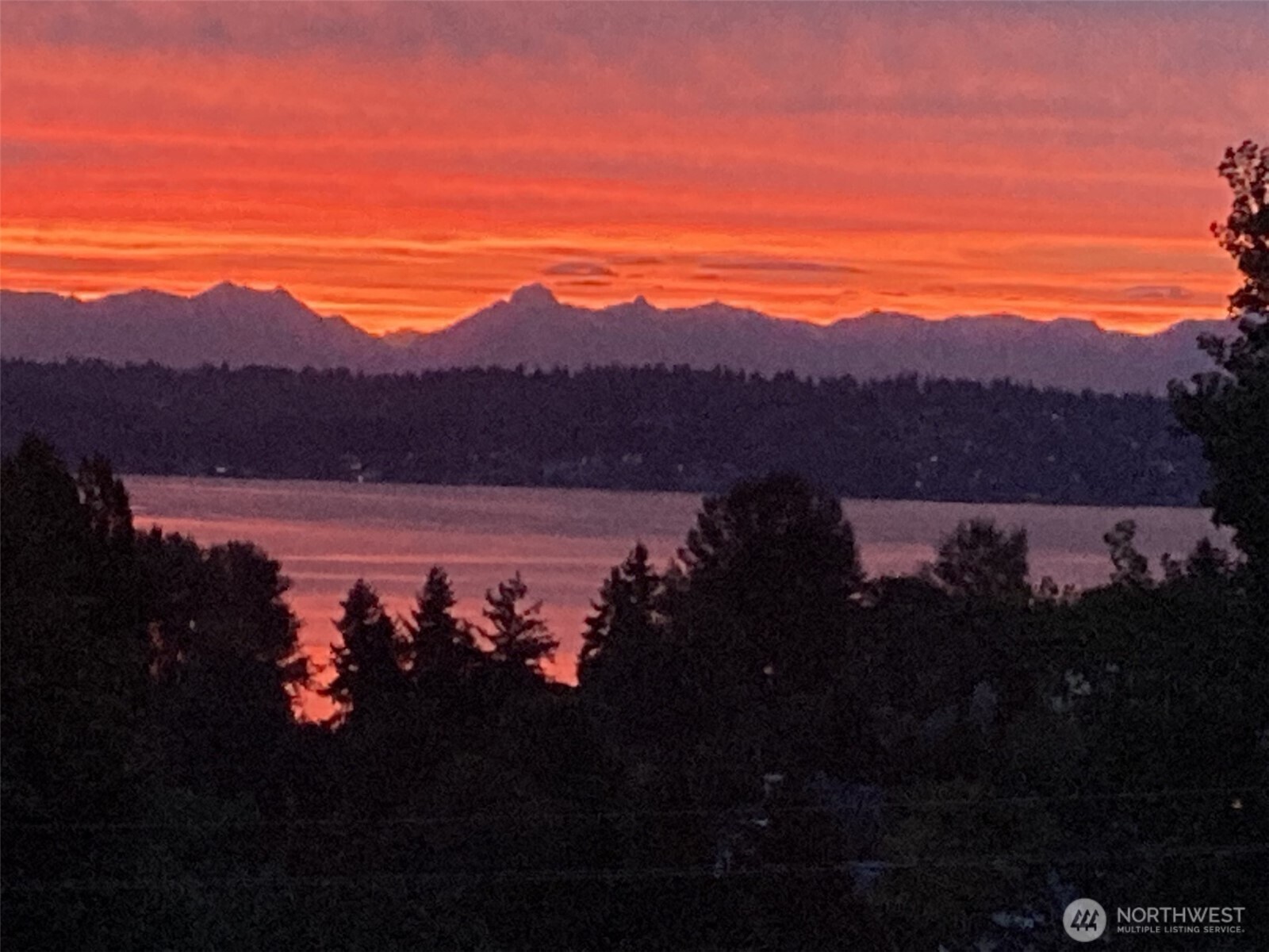 4411 Northeast 90th Street Seattle, WA 98115 - Photo 30 of 30