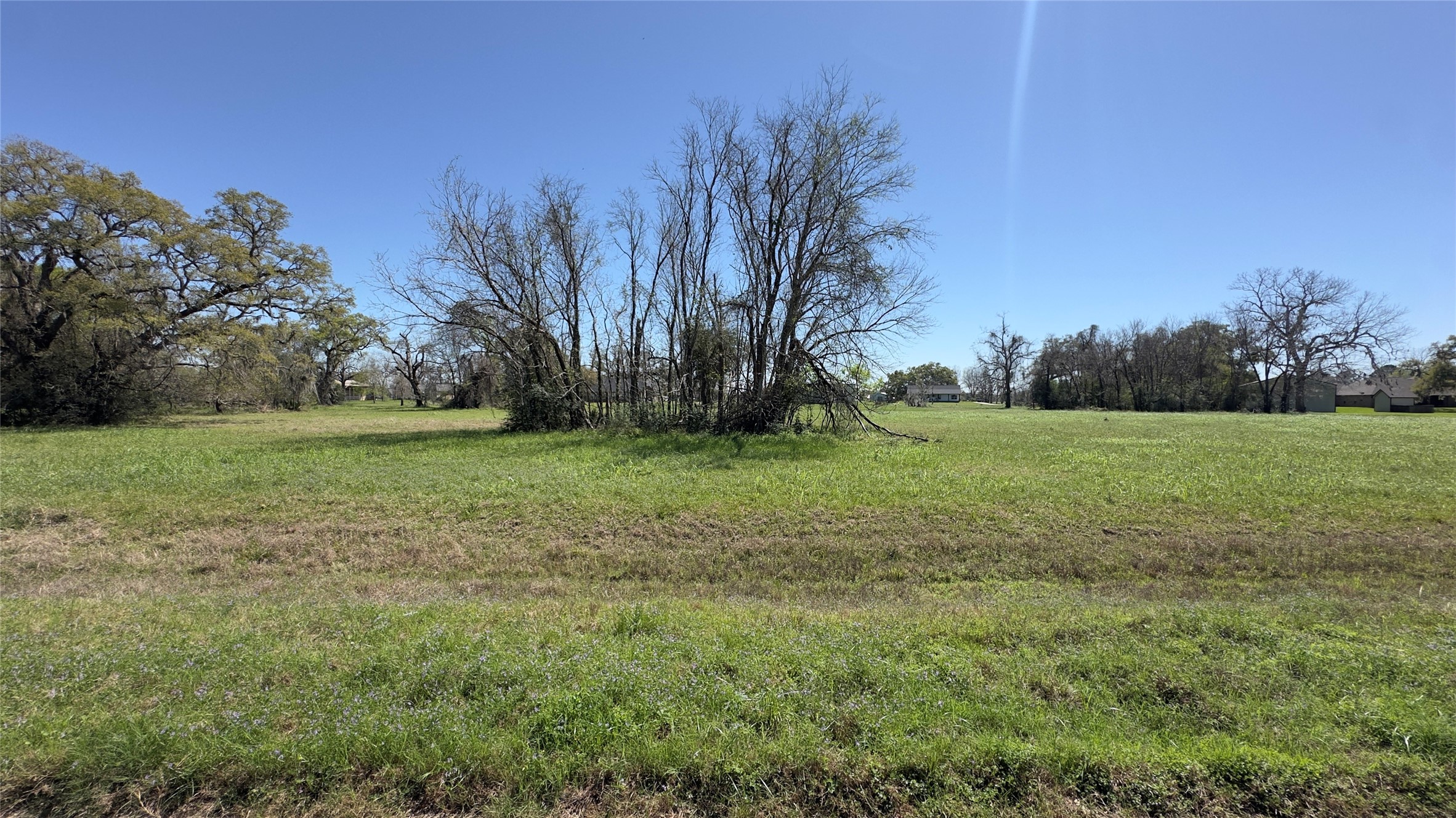 743 Rancho Chico Court Angleton, TX 77515 - Photo 3 of 4 a view of a field with trees