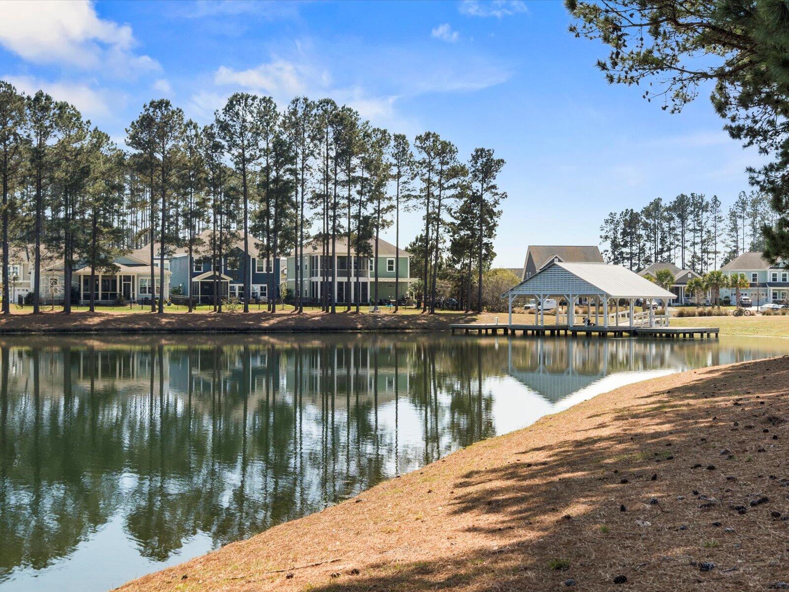 403 Radiant Blue Way Summerville, SC 29486 - Photo 21 of 21 34-DSC00220