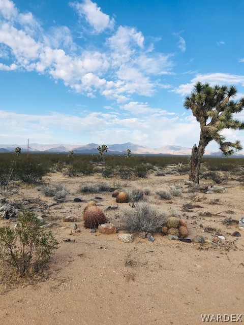 19525 South Wild Bill Road Yucca, AZ 86438 - Photo 9 of 23 Gallery Image 9