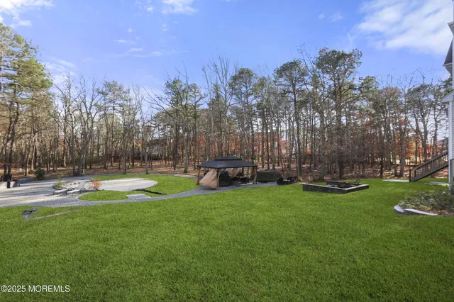 a view of a park with large trees