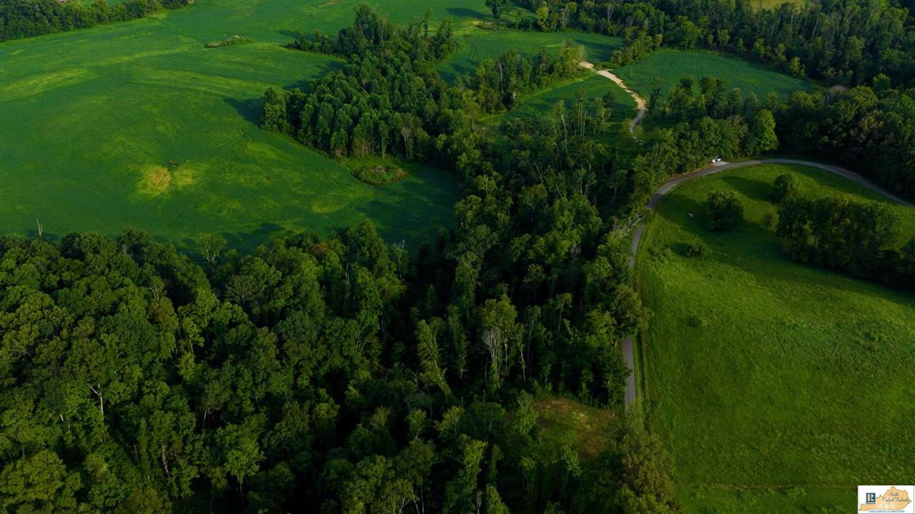 200 Scott-Marcum Road Summersville, KY 42782 - Photo 69 of 70 Gallery Image 69