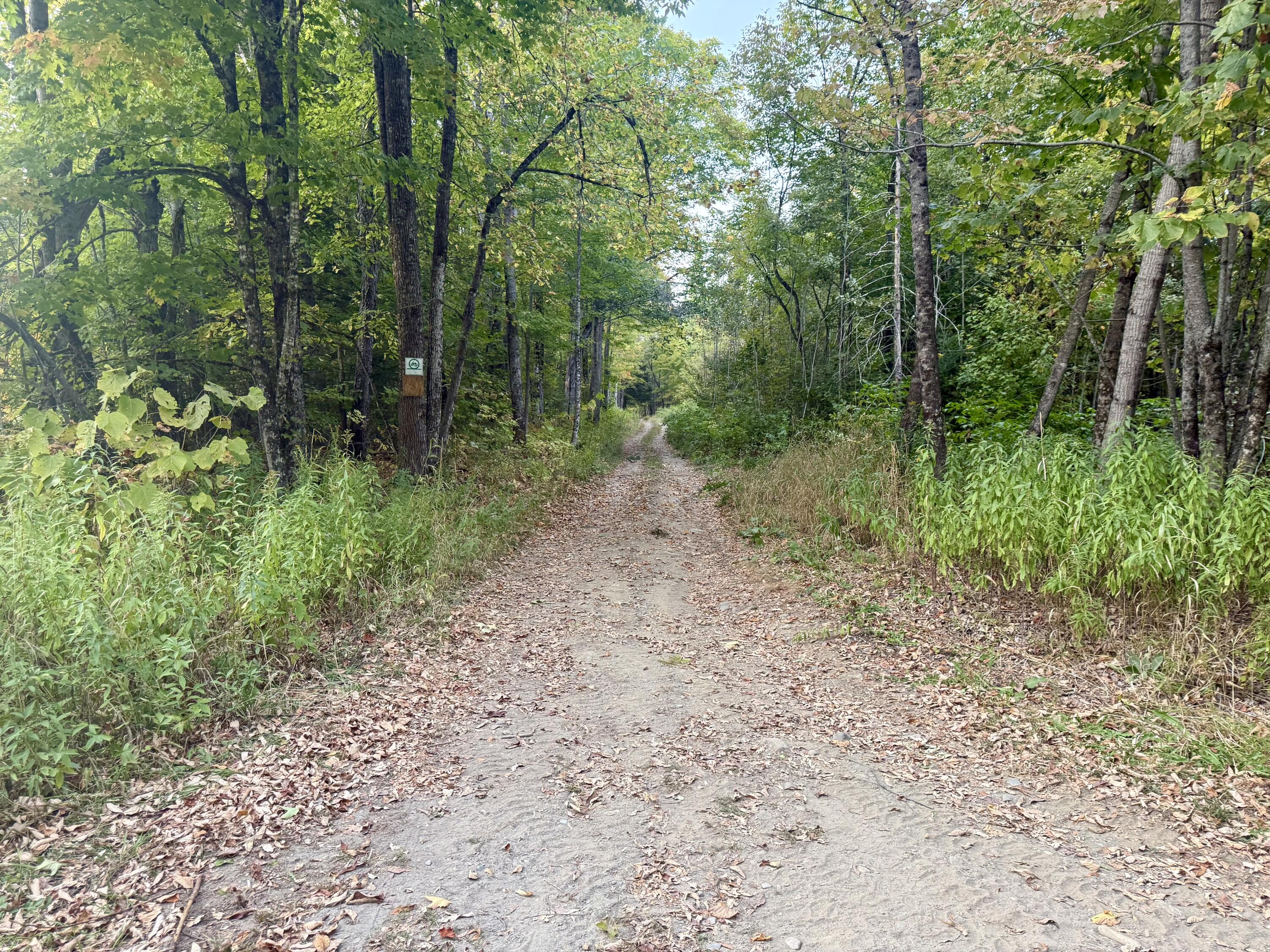 147 Garland Road Charleston, ME 04422 - Photo 11 of 14 IMG_1879