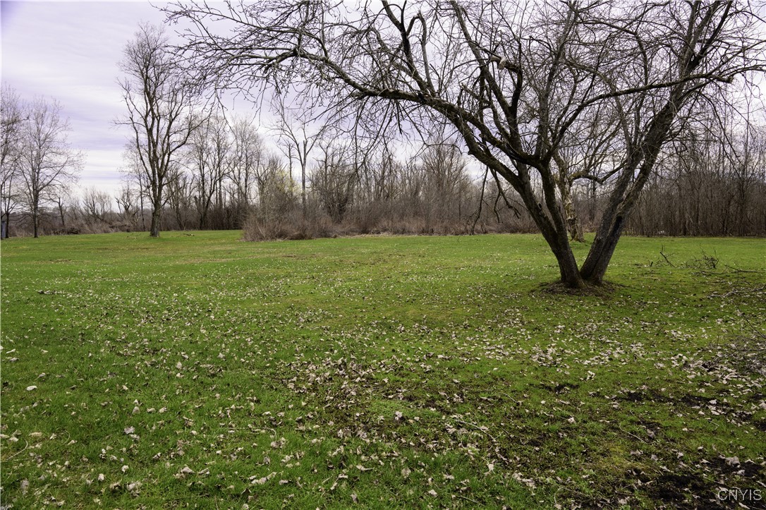 Muck Road Rome, NY 13440 - Photo 2 of 10