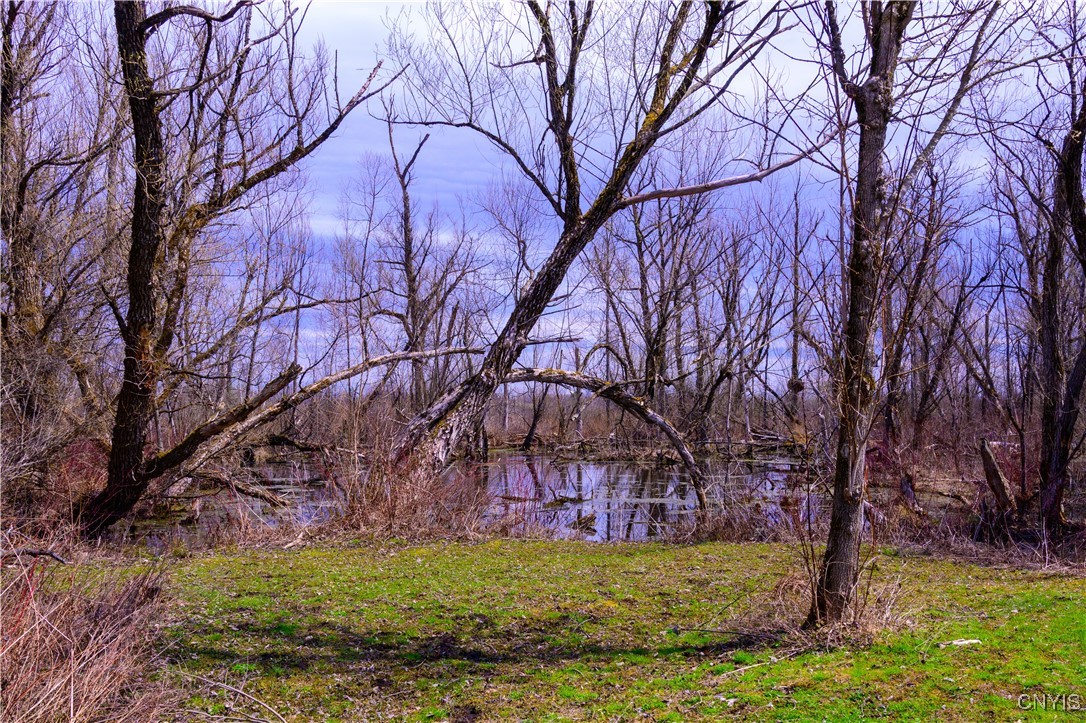 Muck Road Rome, NY 13440 - Photo 5 of 10