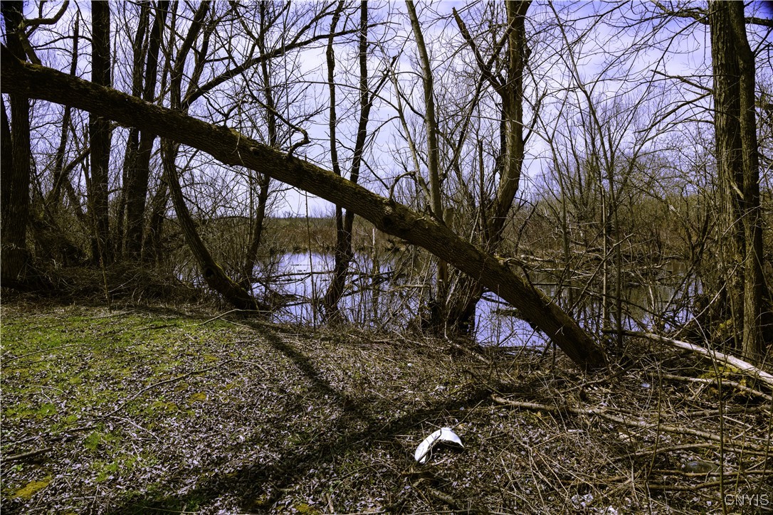 Muck Road Rome, NY 13440 - Photo 9 of 10