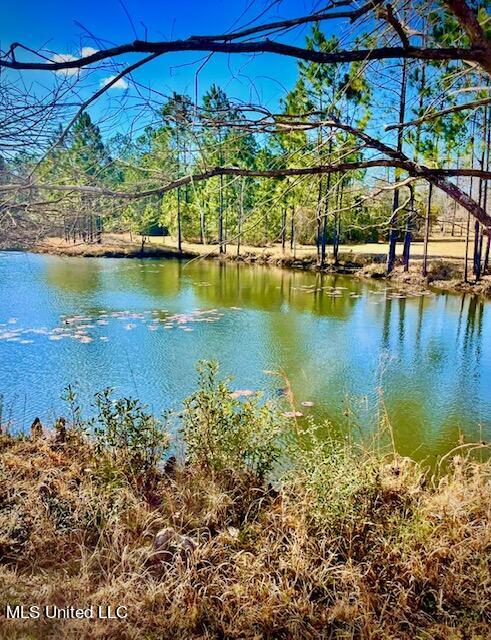 15429 Indian Fork Road Vancleave, MS 39565 - Photo 20 of 63 3rd Pond Area