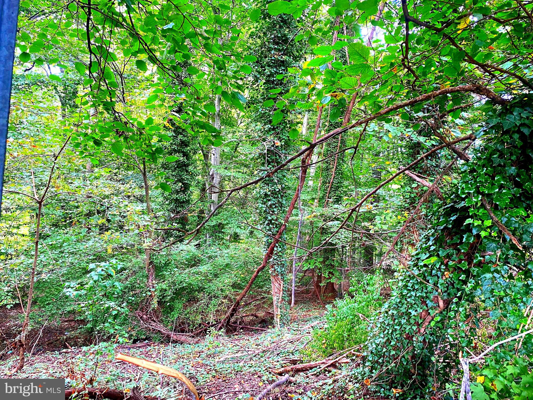 Springwood Drive Temple Hills, MD 20748 - Photo 2 of 9