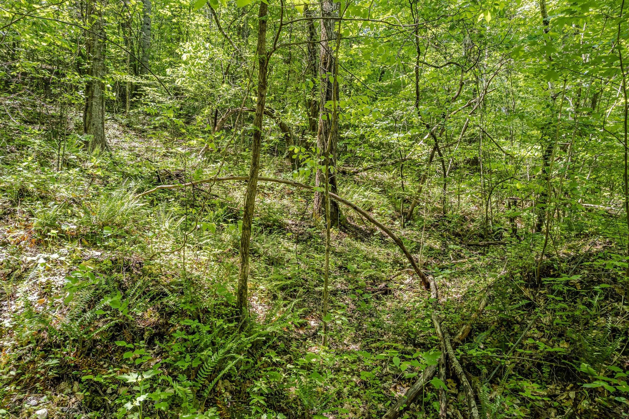 562 Griffith Branch Road Madisonville, TN 37354 - Photo 9 of 14 Gallery Image 9