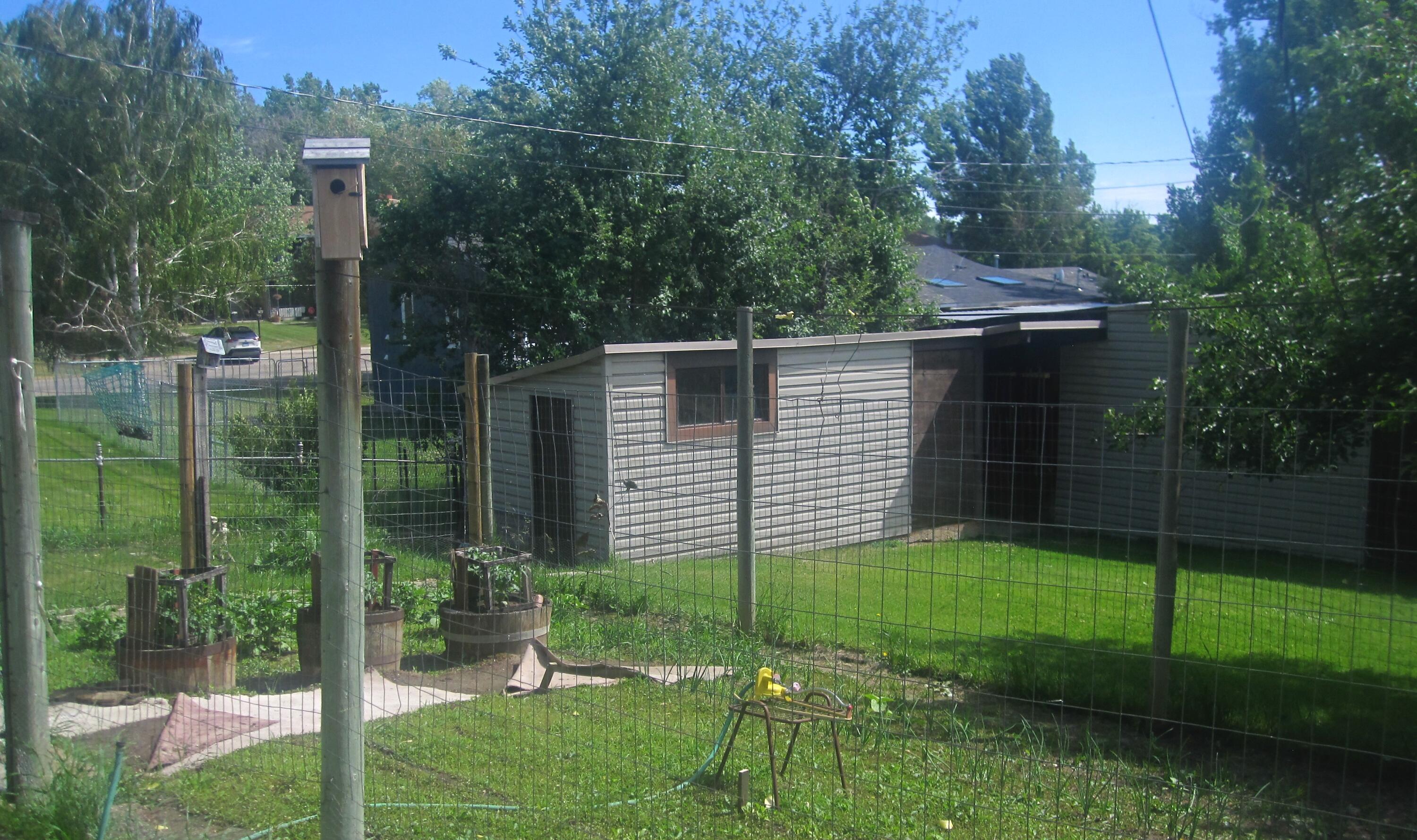 555 South Main Street Buffalo, WY 82834 - Photo 34 of 44 27 Garden Shed