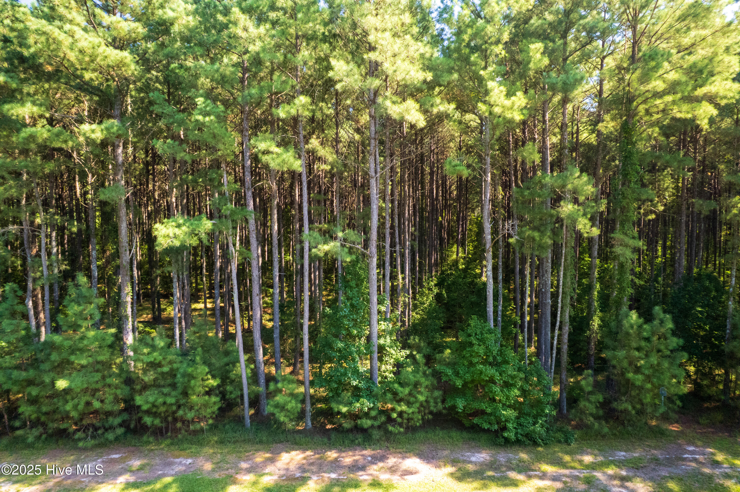 456 Riversound Drive Edenton, NC 27932 - Photo 3 of 10 3