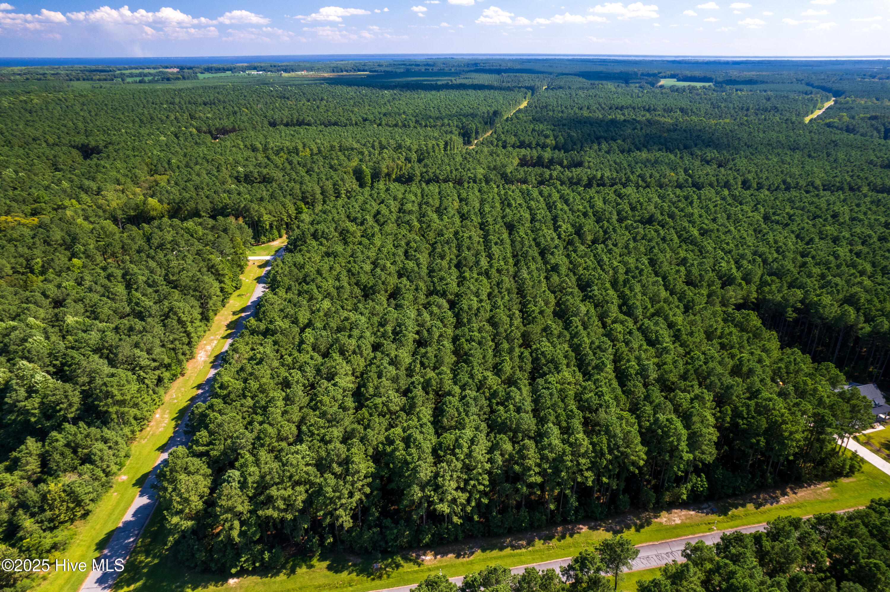 456 Riversound Drive Edenton, NC 27932 - Photo 5 of 10 5