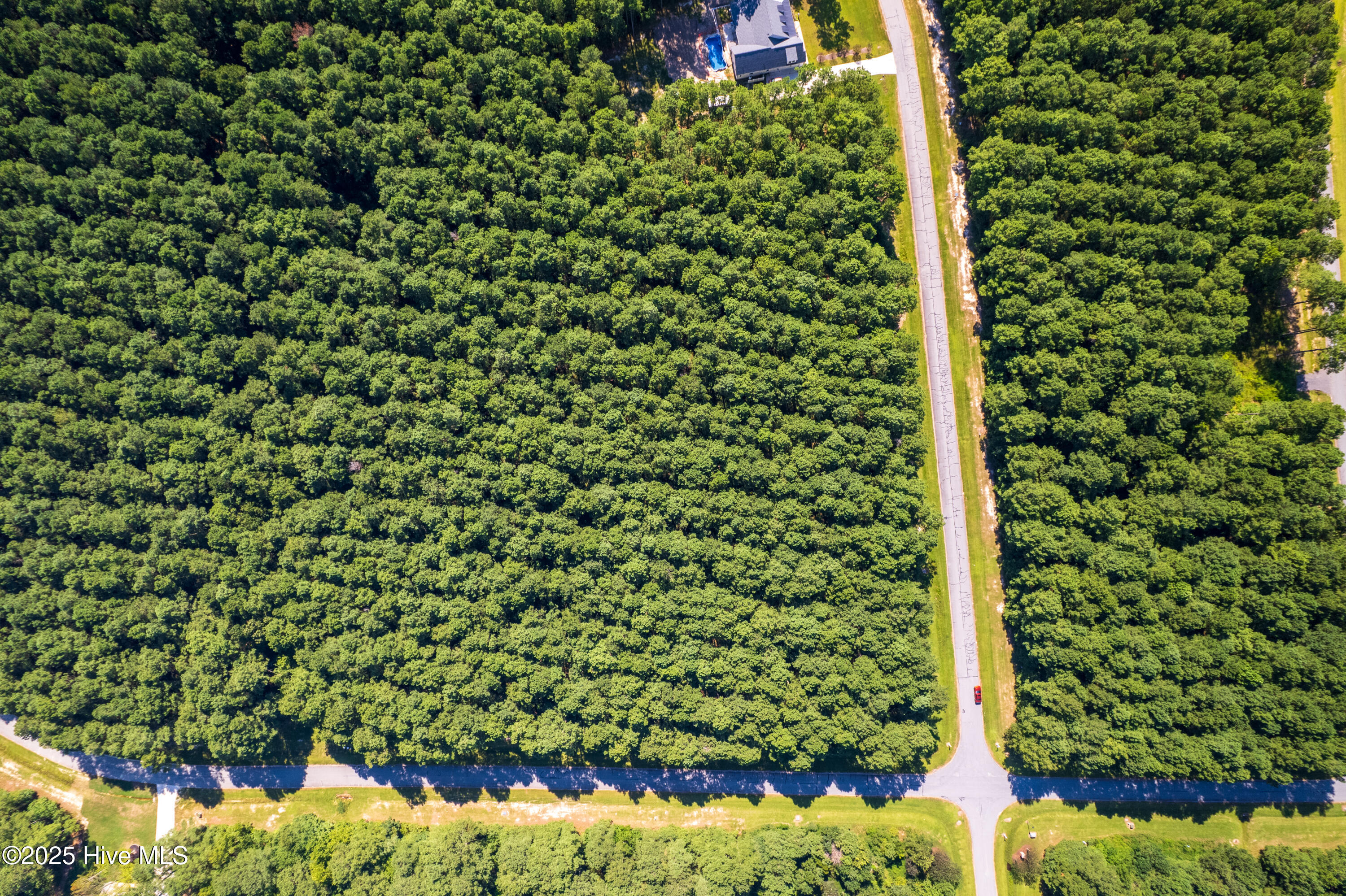 456 Riversound Drive Edenton, NC 27932 - Photo 7 of 10 6a