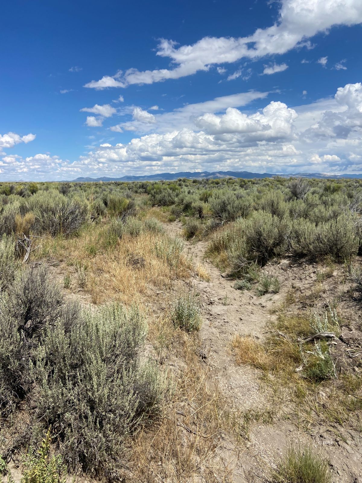 Tbd South Clover Valley Road Wells, NV 89835 - Photo 10 of 13