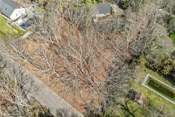 a view of a yard with a tree