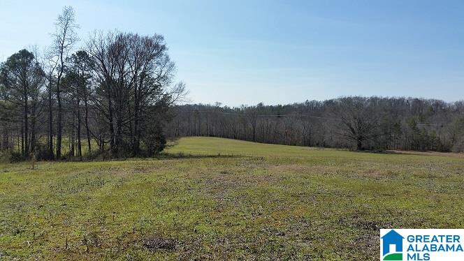 Turner Mill Road Talladega, AL 35160 - Photo 5 of 10